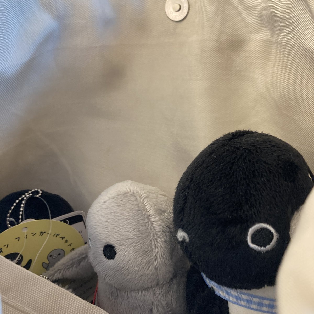 みなさまは「ぬいポーチ」をお使いでしょうか？
どう考えても、団体様は入らないので、私のぬいバッグは今、これです
団体で移動するのがいかんのか？
ぬいポーチの団体用はないのかなぁ