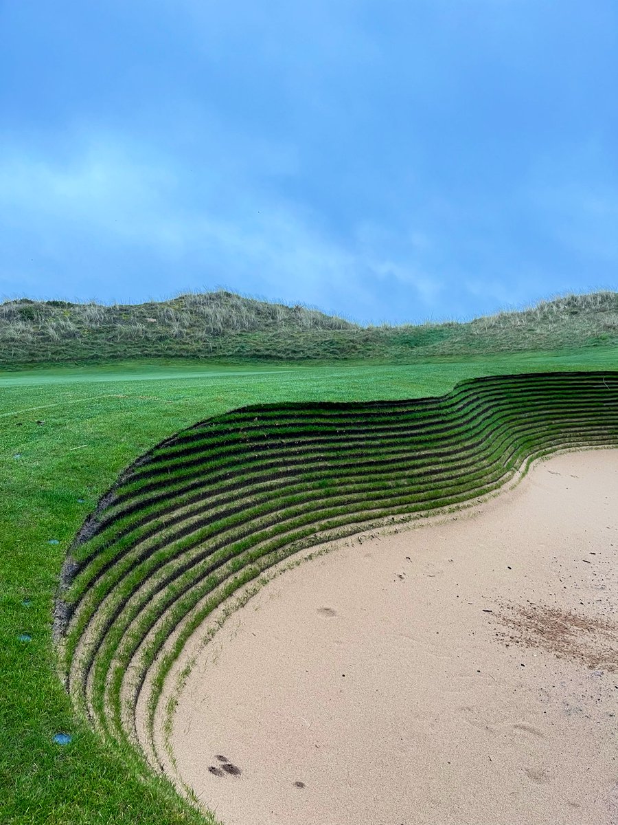 HowDidiDo's tweet photo. A lesson in how to re-do a revetted bunker over winter by @Hillside_GC 🤤

Bonus point if you can guess the hole. 

(The bunker was GUR hence the lack of raking) https://t.co/lhgVF2P2HW
