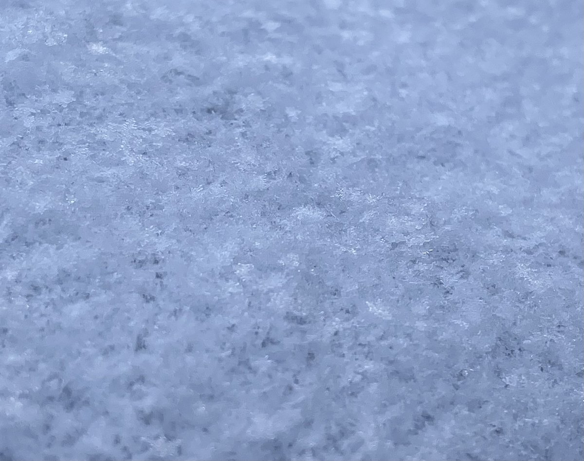 ekuko_s's tweet photo. マイナス11℃まで下がった日の朝。とても快晴🌞そして雪の結晶も残っていました❄️✨
#寒波 #ローテンブルク #クリンゲン門 https://t.co/f4sRHqmihj