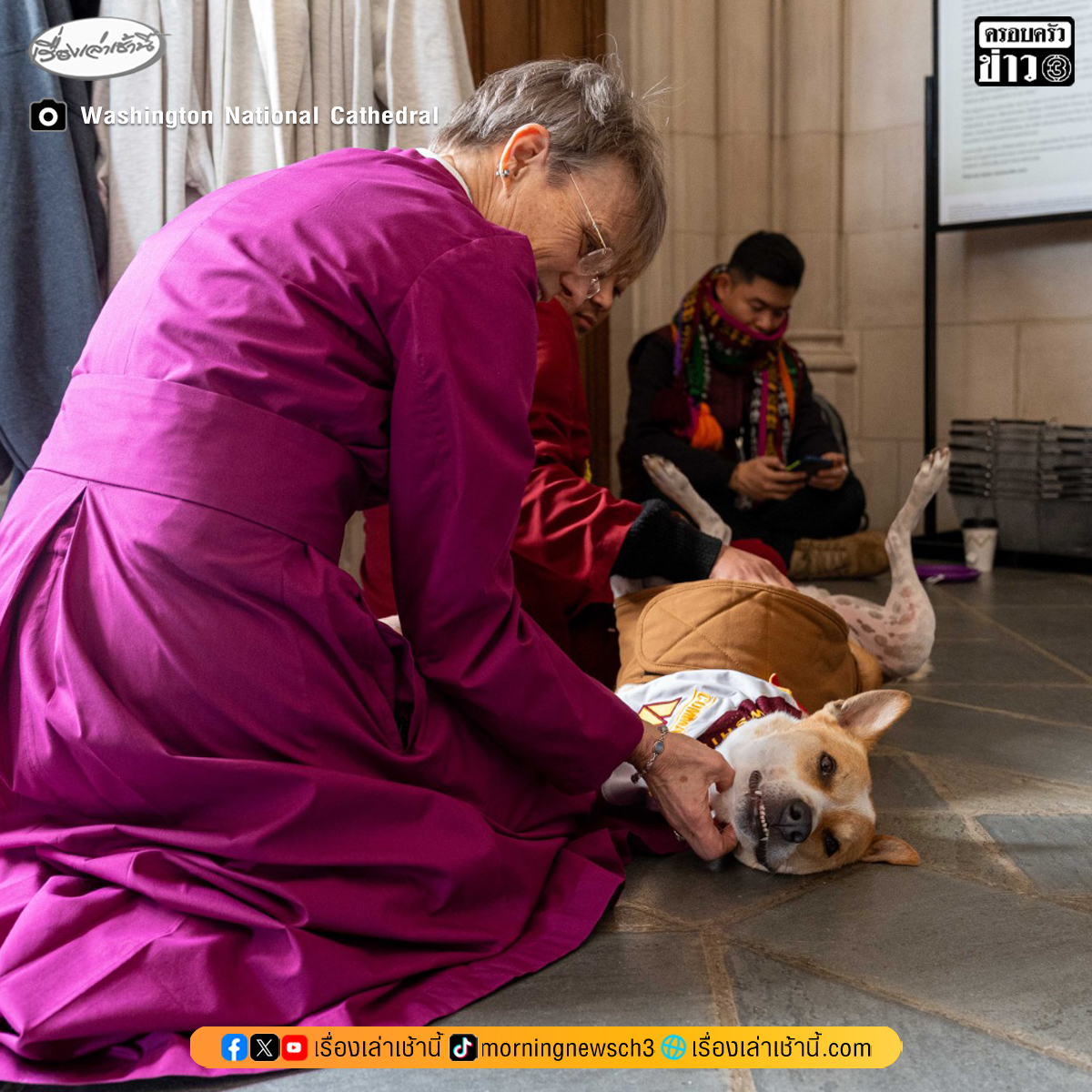 คณะสงฆ์ Walk for Peace 3,700 กิโลเมตร พร้อมน้องหมา “อโลกา” ถึงดีซีแล้ว

เมื่อวันที่ 10 ก.พ.69 คณะสงฆ์ Walk for Peace เดินทางถึงกรุงวอชิงตัน ดีซีแล้ว หลังเดินเท้าผ่าน 9 รัฐ รวมระยะทางราว 3,700 กิโลเมตร รวม 108 วัน

คณะสงฆ์ Walk for Peace พร้อมด้วยสุนัขร่วมเดินทางชื่อ “อโลกา”