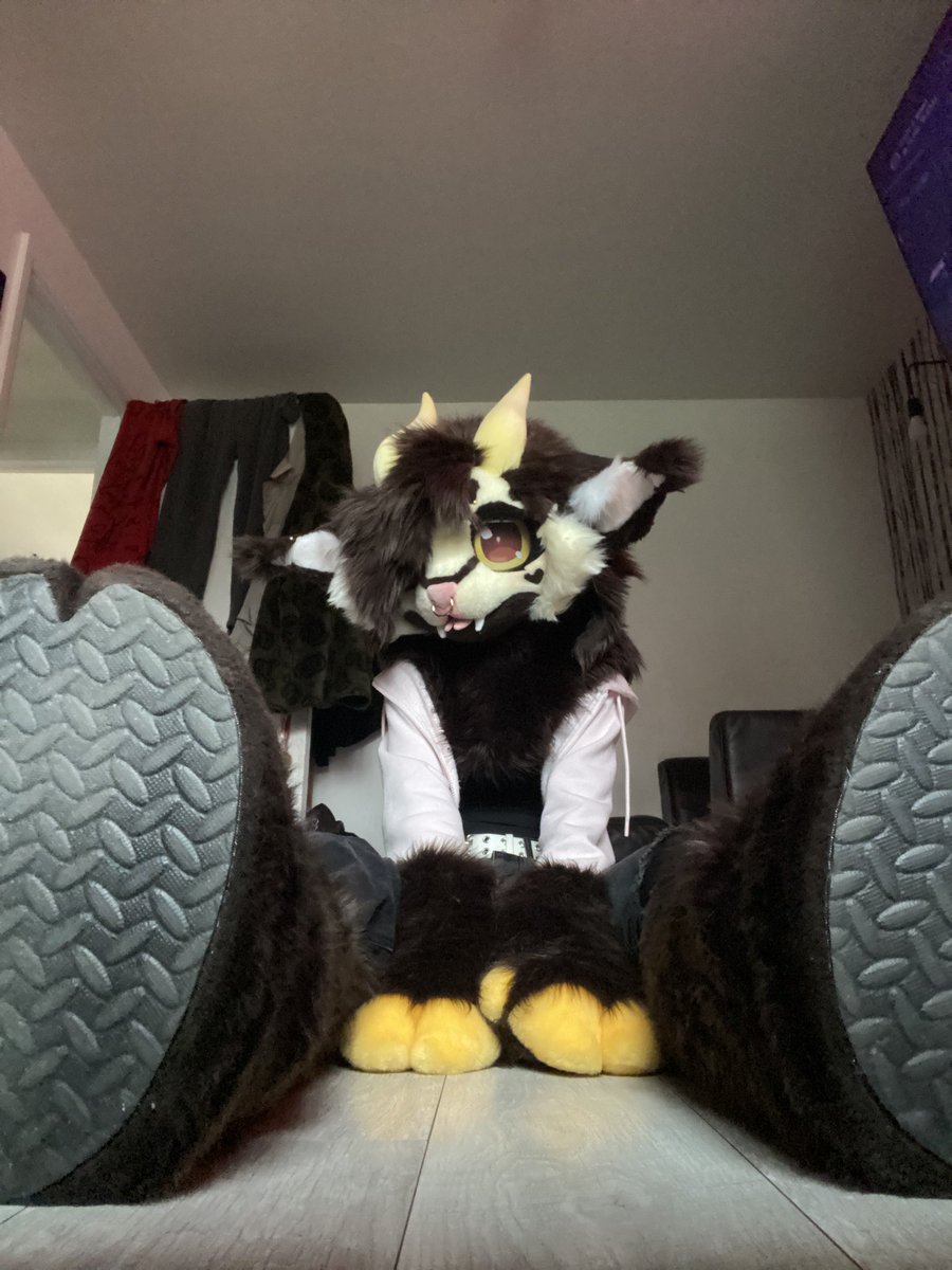 Gonna get myself out there more!
I’ll be regularly attending Mancfurs, Sheffield Furs, NottsFurs and hopefully BrumFurs! I’ll also be at CFz if anyone’s going there too. I have HUNDREDS of stickers to hand out pls take them