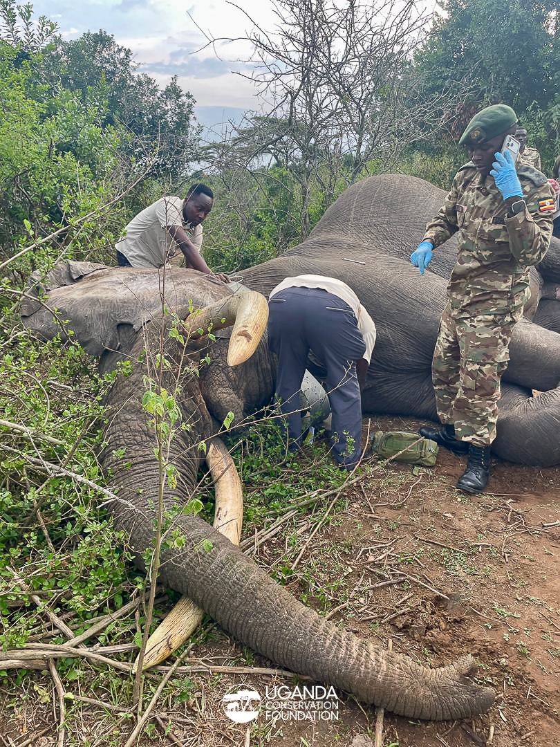 UgandaCF tweet media