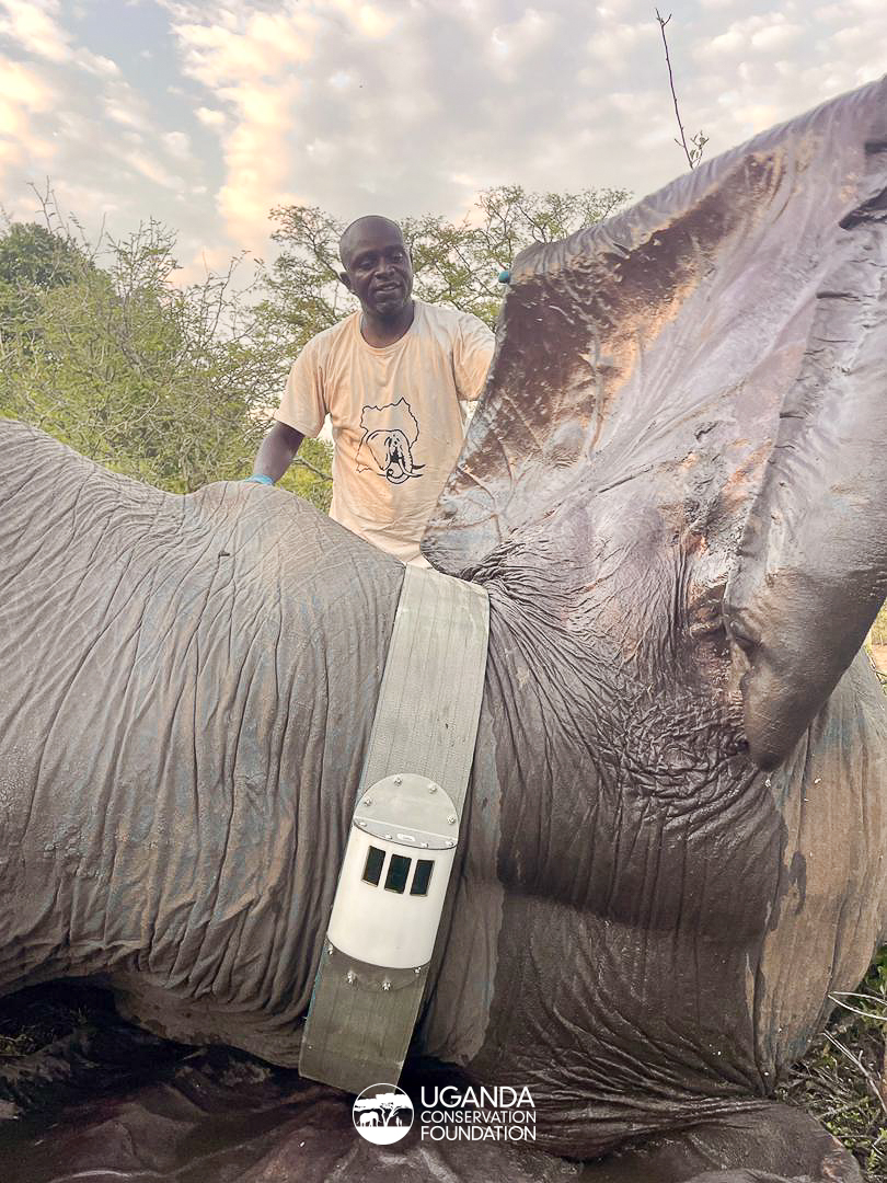 UgandaCF tweet media