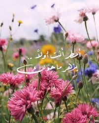 خالد النفيسة tweet media