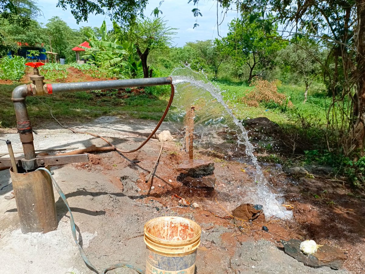 Team Hope Ireland tweet media