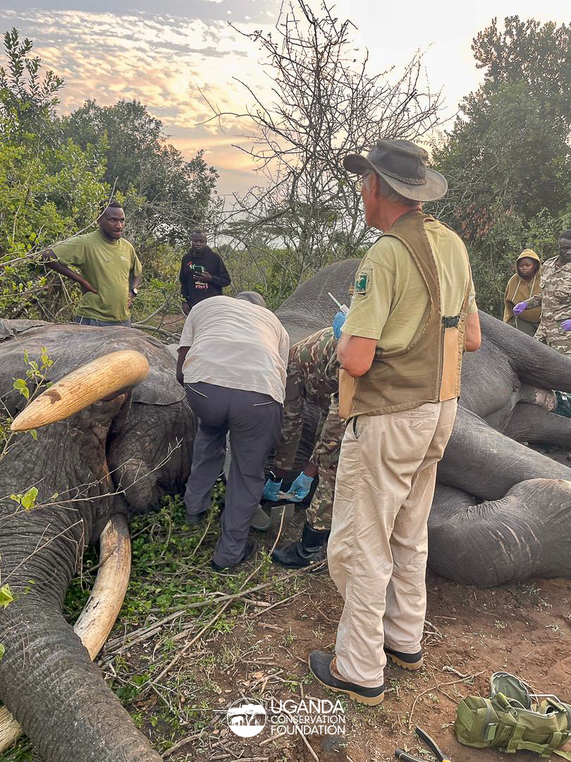 UgandaCF tweet media
