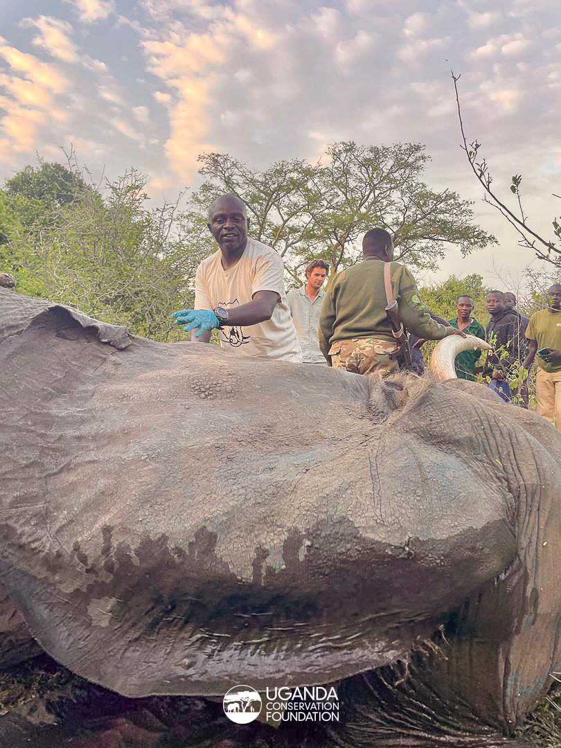 UgandaCF tweet media