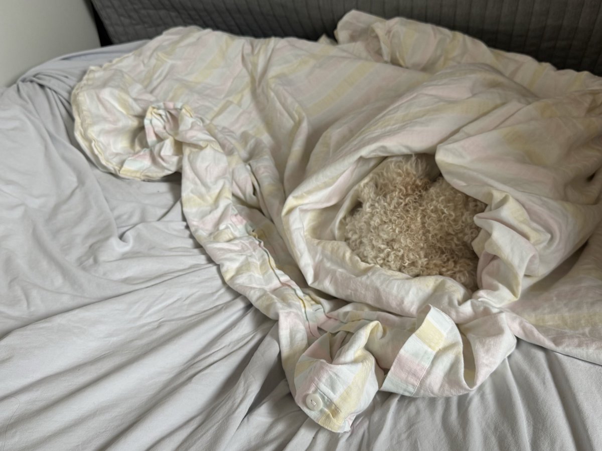 Und jetzt schmollen. 🙄