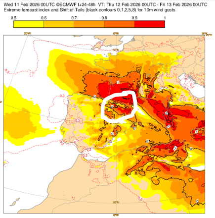 Marc Gassó Torrents tweet media