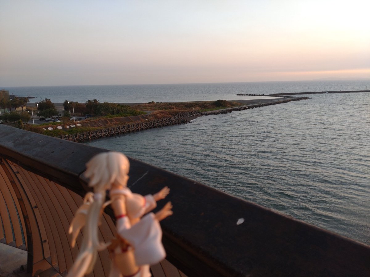 code_kaguya's tweet image. "わーい（ ﾟ∀ﾟ ）
海だにゃー！"