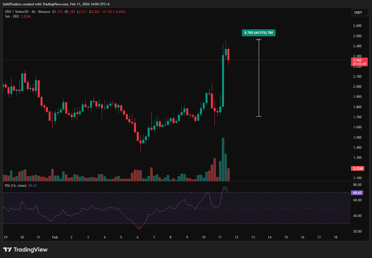 Solid 堅固 ⬡ tweet media