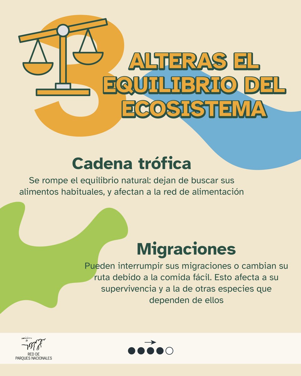 🤓 Hoy hablamos de las consecuencias de una acción que parece inofensiva 🫴🥜

Ver fauna en su hábitat es un privilegio al visitar un Parque Nacional, pero también una responsabilidad:

si de verdad te gustan los animales, no alteres sus hábitos naturales. 👣