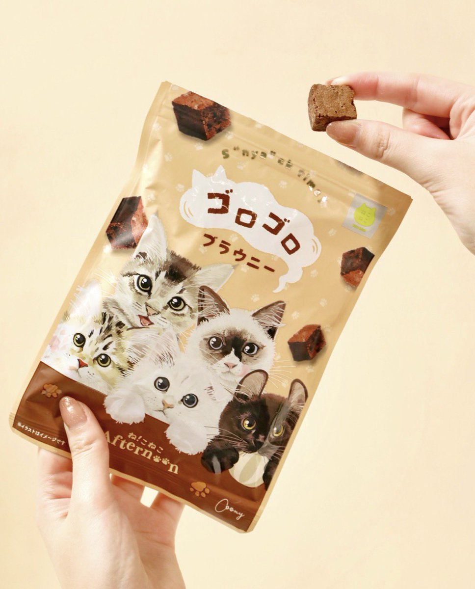 おっ！✨️ 1号機🐱2号機🐱っぽいのが おるけん買ってみよ🍫✨️
