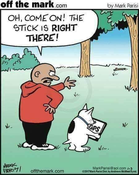 Karen 📚🐕‍🦺🇬🇧 (@karenb1075) on Twitter photo 