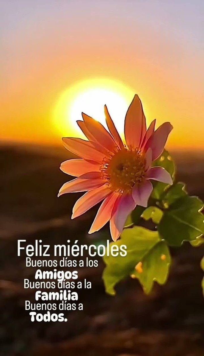 Buen día mundo XTwitter, que tengamos un miércoles tranquilo y productivo… parece que me resfrié, me duele la garganta cuando toso 😷
Les deseo suficiente, agradezcan siempre, sean felices y no olviden sonreír 😁🫶🏼🐟
#FelizMiércoles