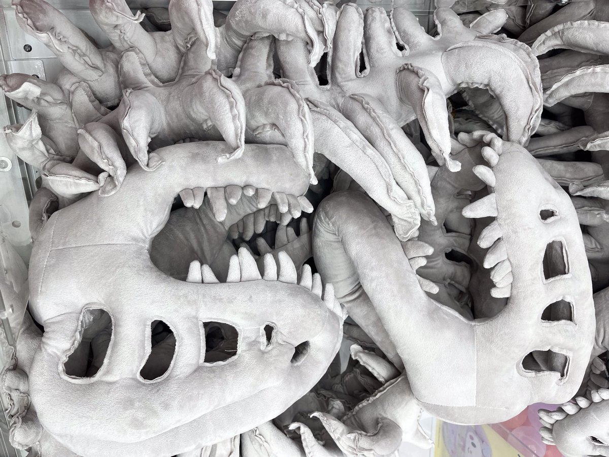 骨ザウルス　ぬいぐるみ 3点セット 🦖ぬいぐるみ新景品🦖 ⁡ 骨ザウルスぬいぐるみ 稼動しました