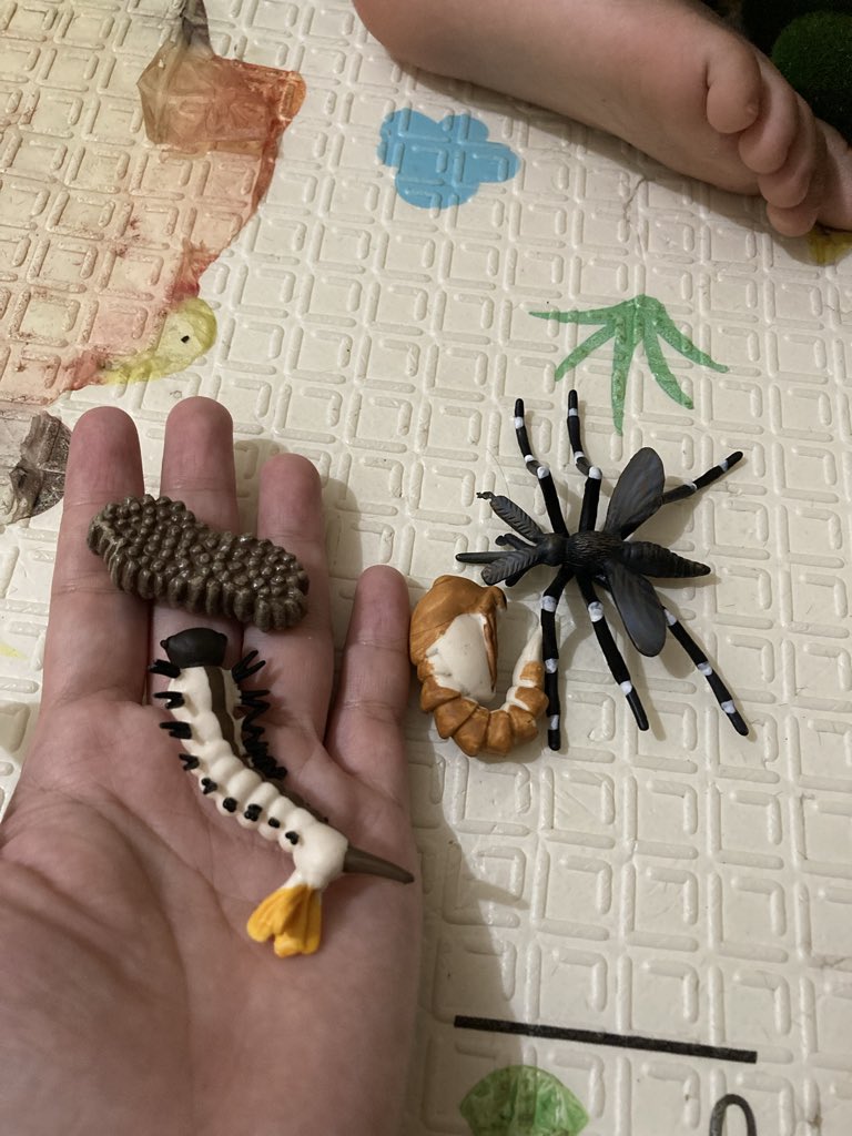 CorryLauraS's tweet photo. Hal menyenangkan lainnya saat membaca buku bersama anak adalah pairing dengan figurin. https://t.co/OZaPF0iS2G