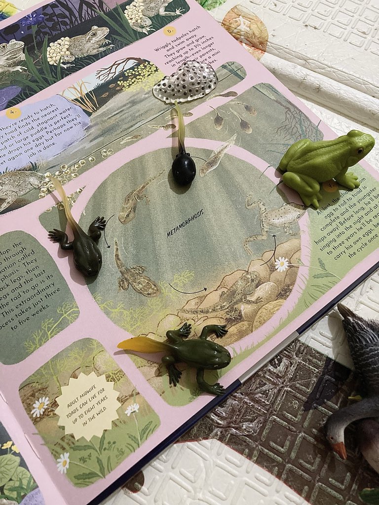 CorryLauraS's tweet photo. Hal menyenangkan lainnya saat membaca buku bersama anak adalah pairing dengan figurin. https://t.co/OZaPF0iS2G