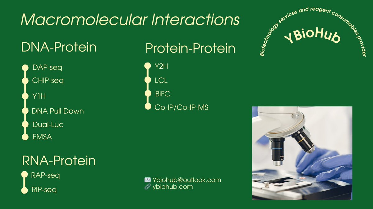 An overview of established methodologies for investigating:
• DNA–protein interactions
• Protein–protein interactions
• RNA–protein interactions
Widely applied in molecular biology, gene regulation, and signal transduction studies.