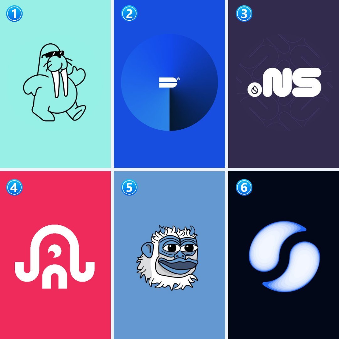 SuiInsiders's tweet photo. You can only pick 2. Which ones are you choosing?🧐 https://t.co/xa0gUP0u2m