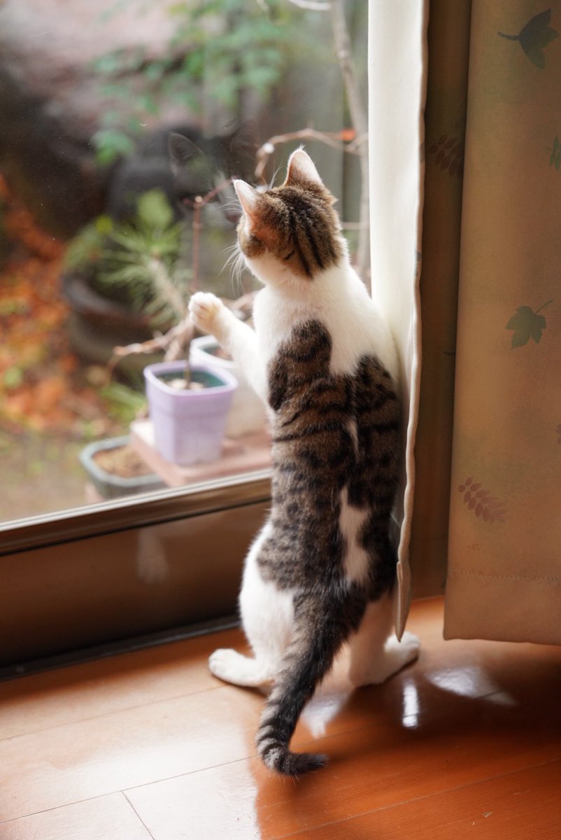 何見てるのかな？