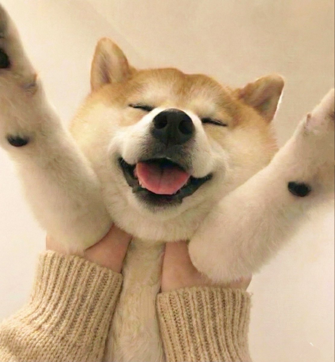 みんなのTL浄化するよーーーー！！！