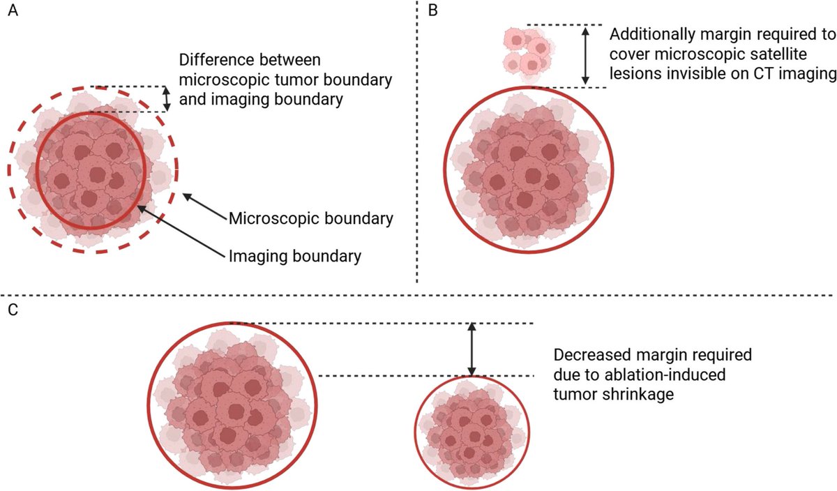 CVIR Oncology tweet media