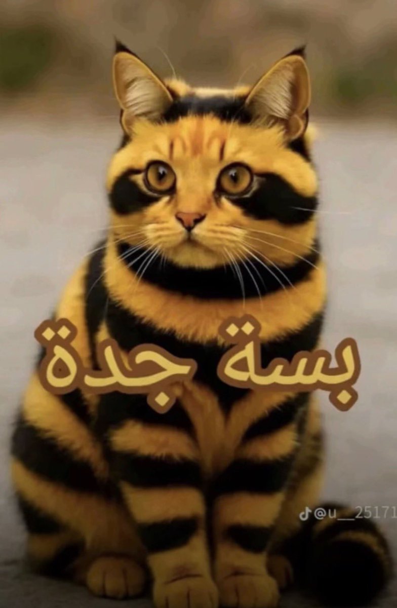 Hadeel🕊 tweet media