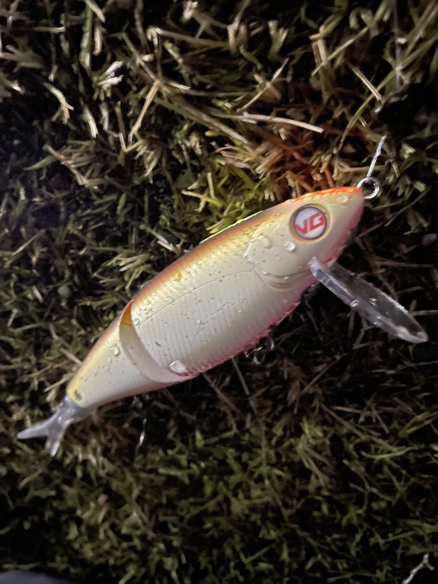 HAZIMETAL (@lakebiwa_bait) / Posts / X