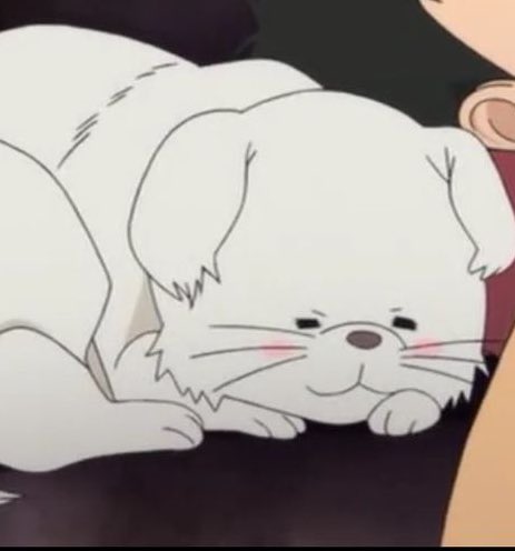 재환이 너에게닿기를강아지닮음