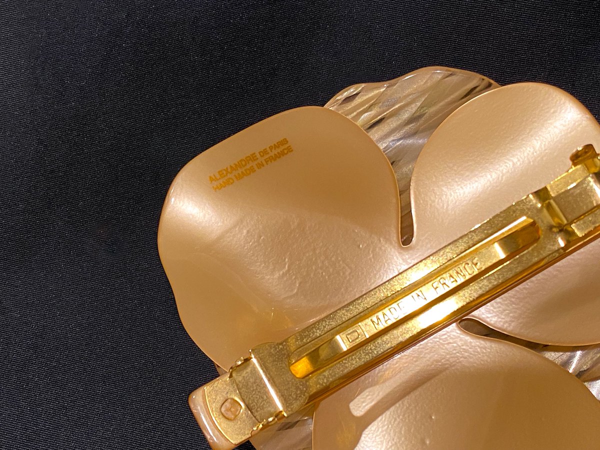 不用品を引き取ってもらいにいったらお値段がおかしい子がいた