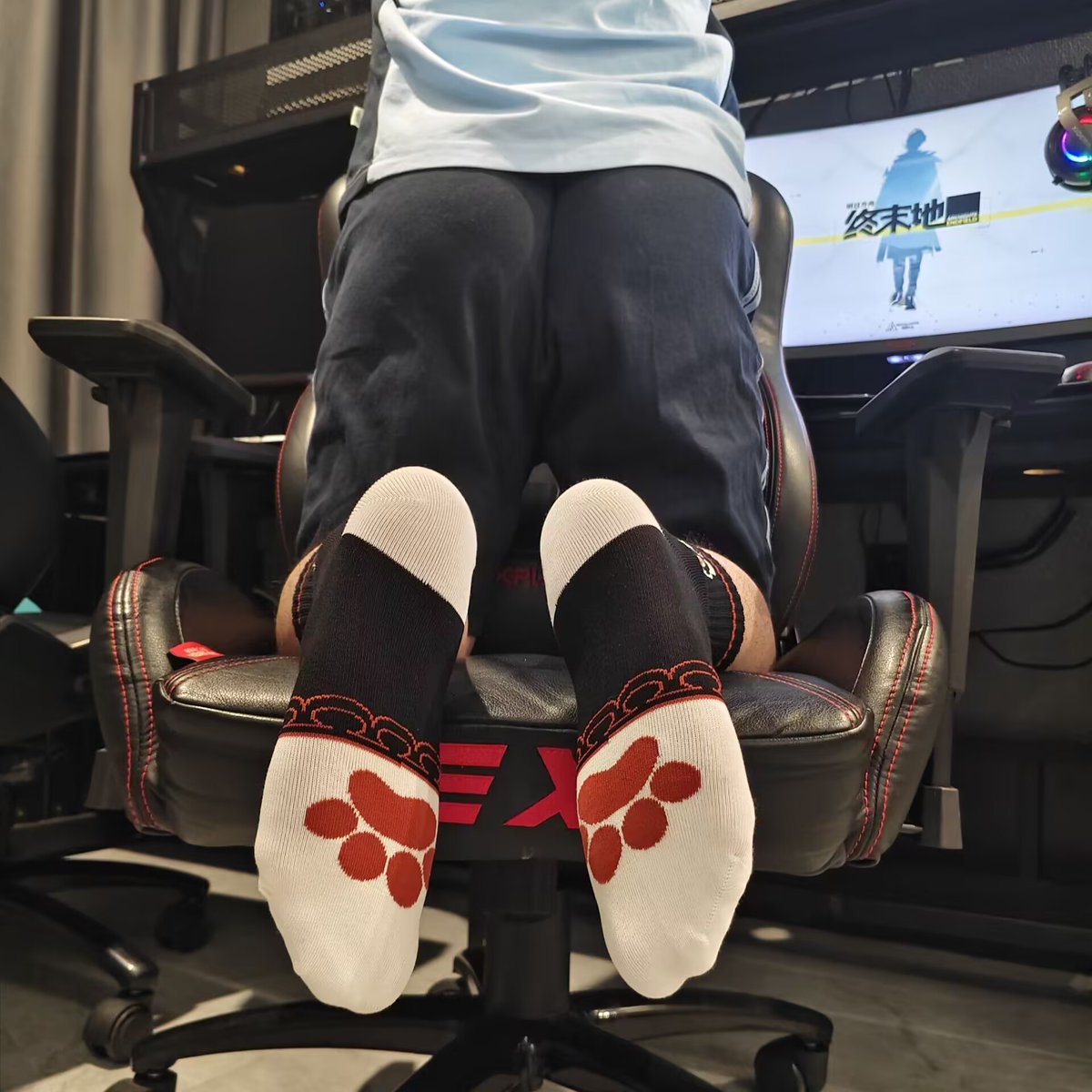 梵铭FUR→福瑞八 tweet media