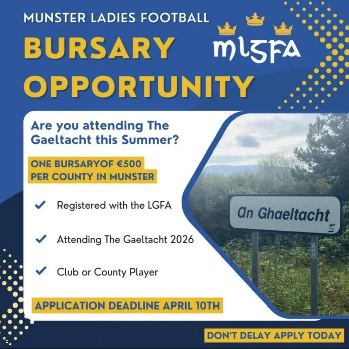 Adare Ladies Gaelic tweet media