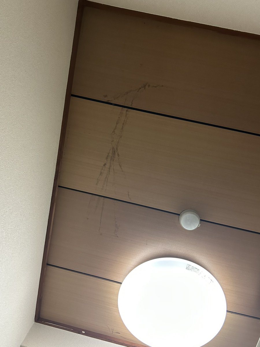 今回大阪で泊まったホテル！

天井のシミを見て、あまりに貧しかった
バレエダンサー1年目を思い出したり！