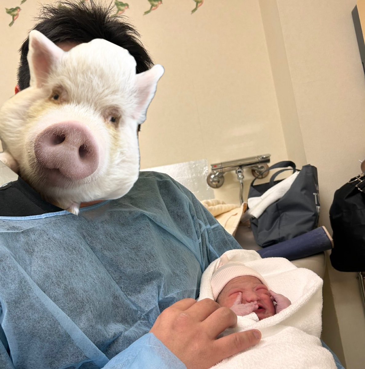 みっきー。(美樹)(自宅を小さな保護施設にしたい) tweet media