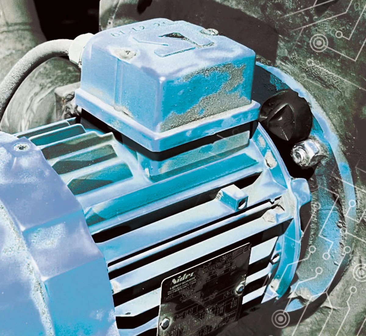 Malone Group tweet media