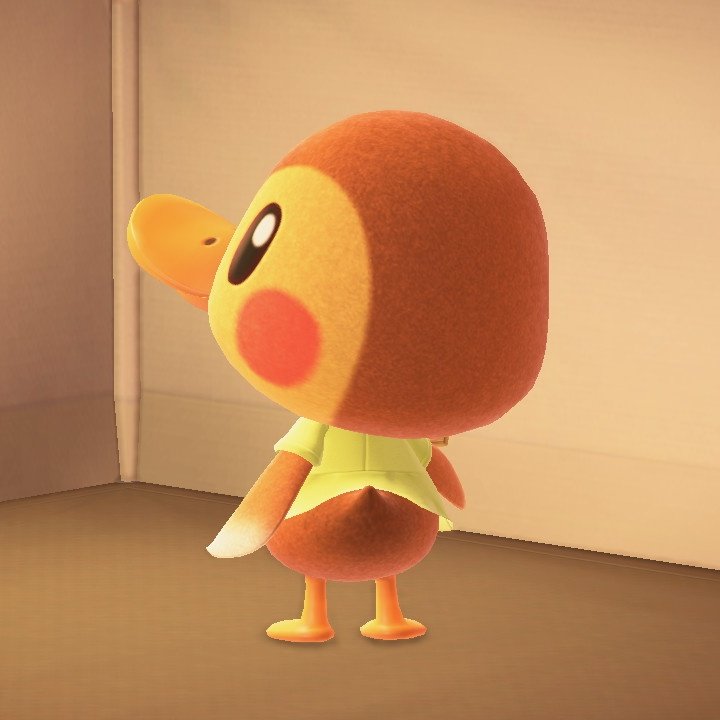 🌻걈자🥔 tweet media