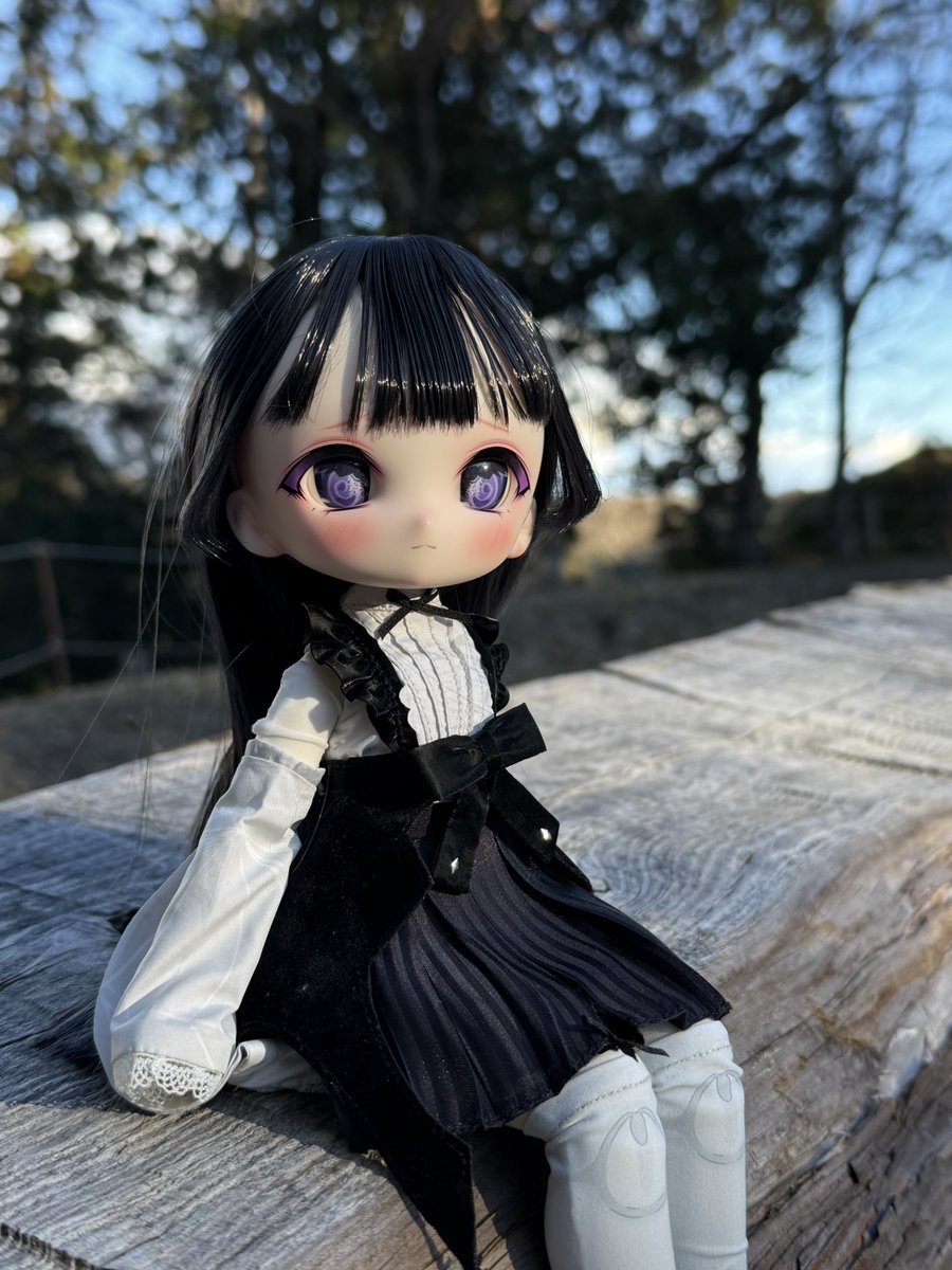 ロバしん (@robounotou) / Posts / X