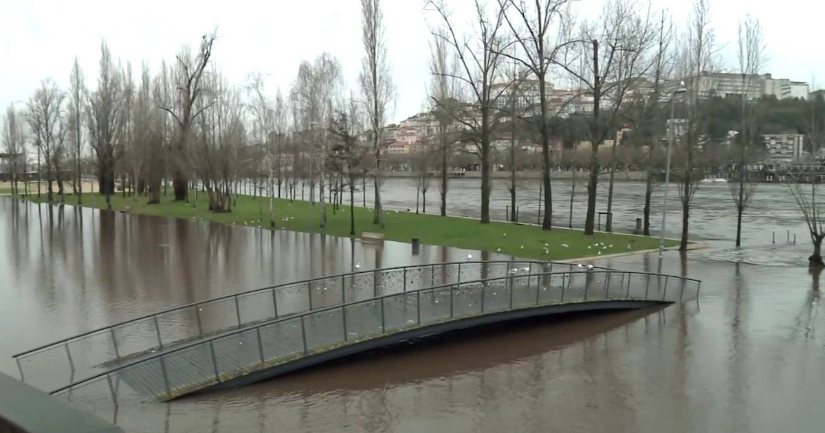 Ricardo Pais Oliveira tweet media