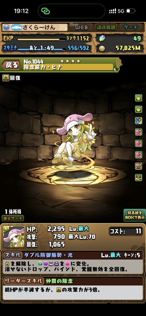 cherry blossom tweet media