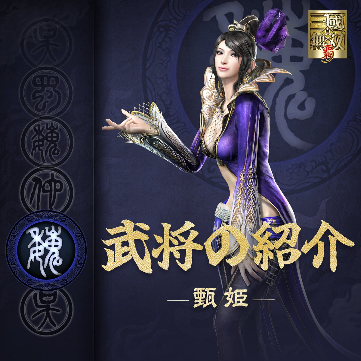 真・三國無双 覇 tweet media