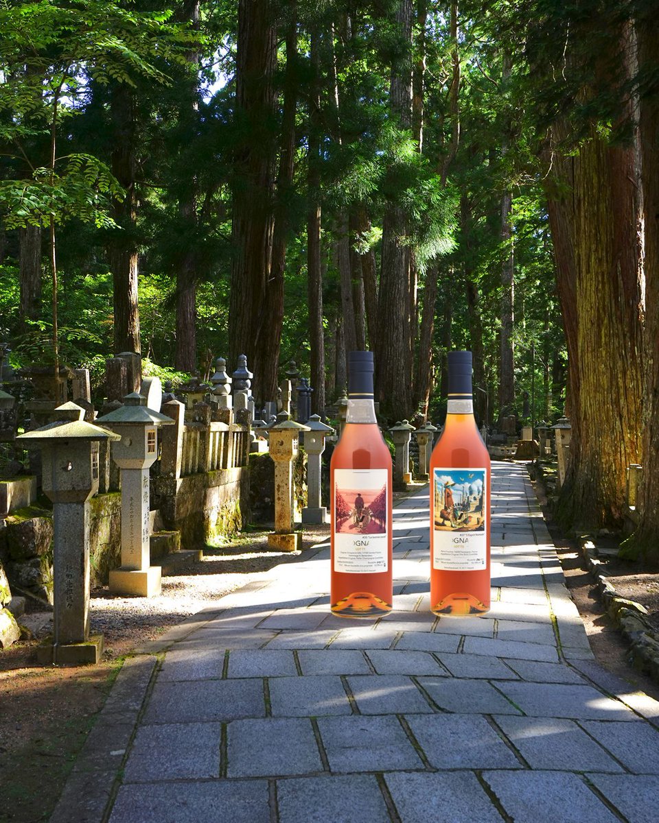 Coldorak 🥃 tweet media