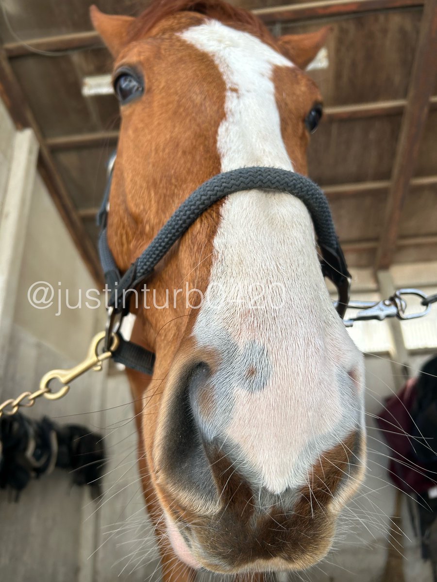 GOGOターボさん（ジャスティンターボ） (@justinturb0420) / Posts / X