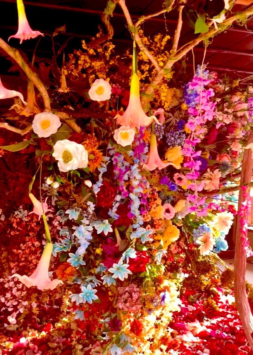 2月のつぼみはそっと膨らみを増してゆく