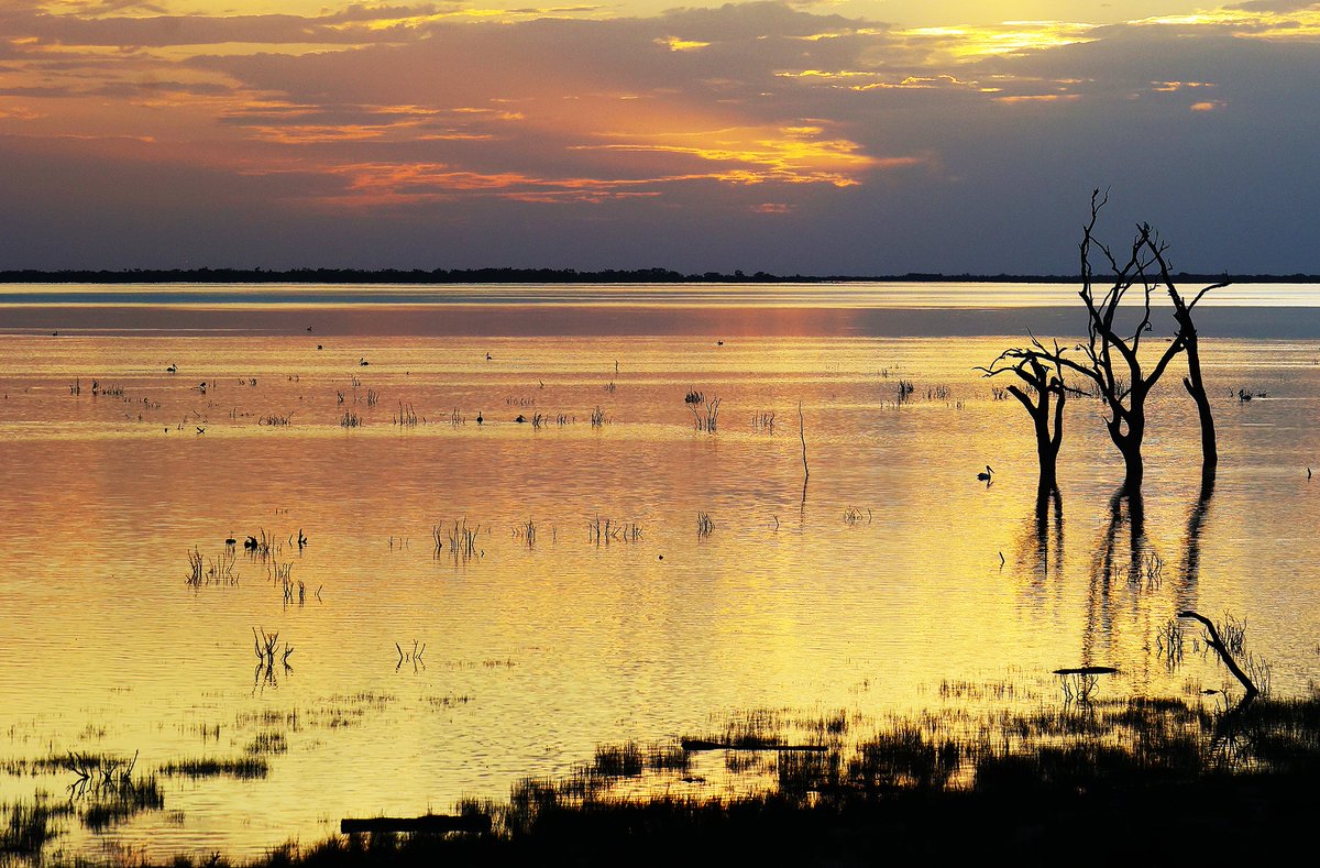 Sandy Horne tweet media