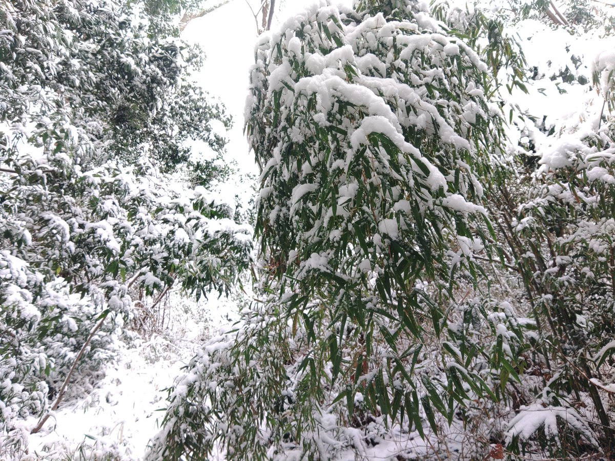 kaede8bit's tweet photo. 雪山 https://t.co/8UCLa2Qh2O