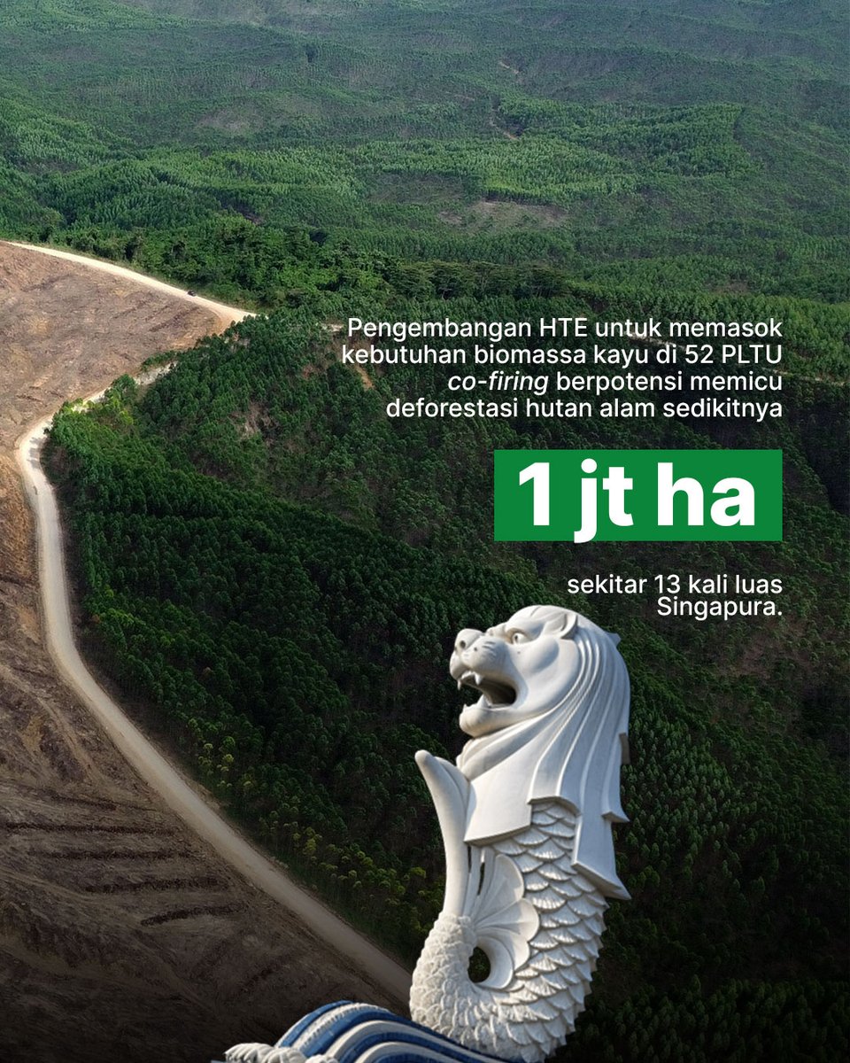 3. Riset Trend Asia mengungkapkan, kebutuhan co-firing biomassa 10% untuk 107 PLTU setara dengan sekitar 2,33 juta hektare kebun tanaman energi, yang berpotensi memicu deforestasi sedikitnya 1 juta hektare hutan alam. 
trendasia.org/wp-content/upl…