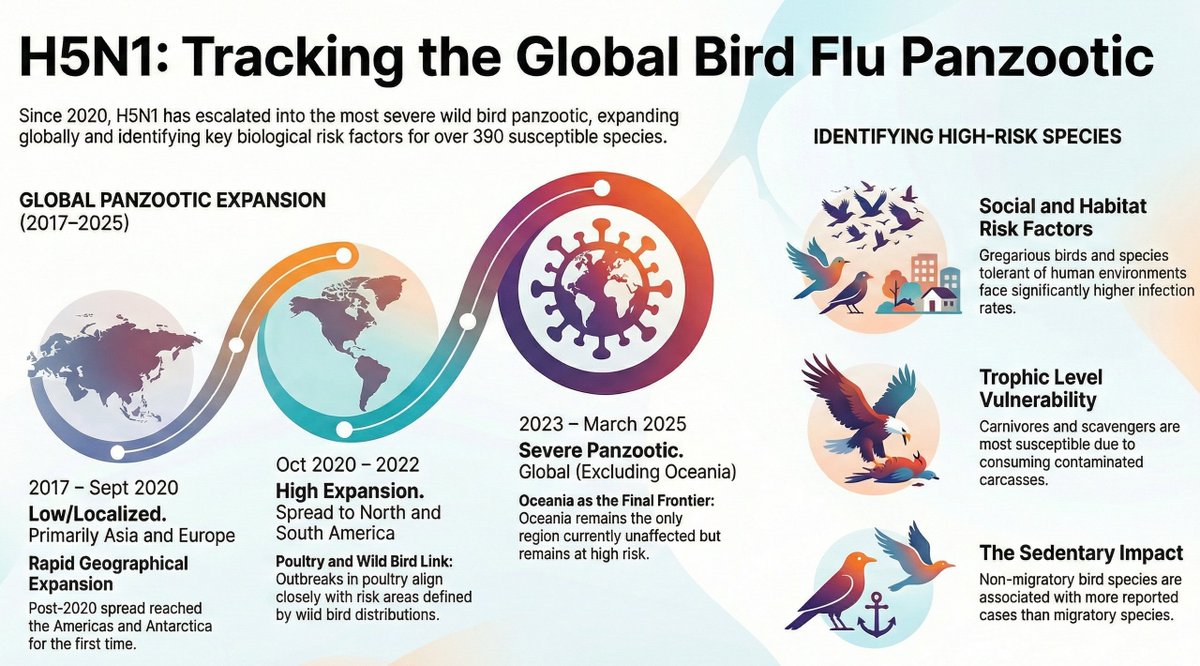 Global Mapping of the H5N1 Panzootic in Wild Birds: This research article examines the global escalation of the H5N1 avian influenza panzootic between 2017 and 2025, highlighting its rapid expansion from localized outbreaks to a nearly worldwide crisis. onlinelibrary.wiley.com/doi/abs/10.111…