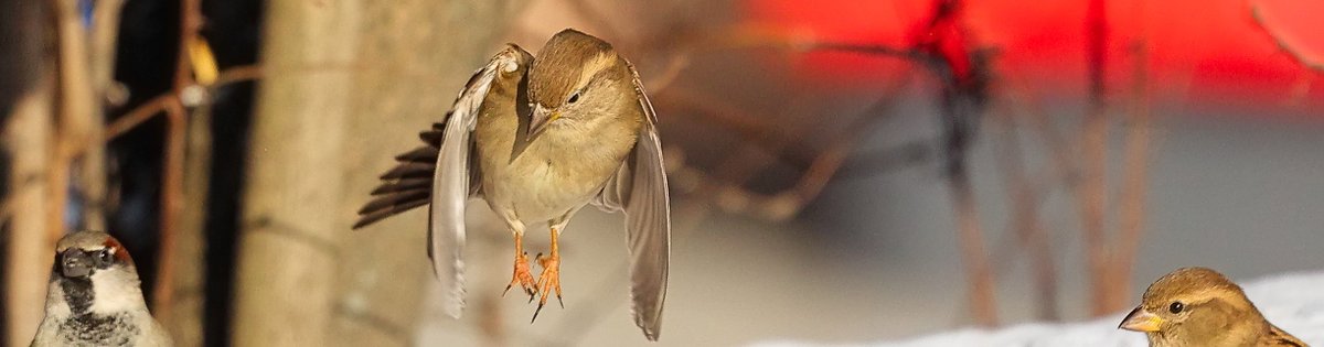 nic nie poradzę tak wyszło