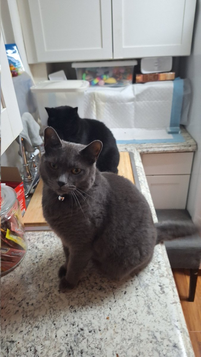 When dinner is late.